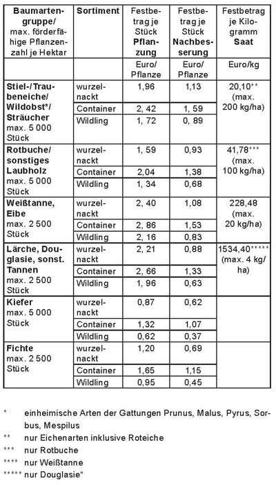 Tabelle 2 Festbeträge/Förderhöhe Waldumbau